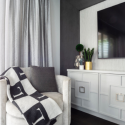 living room design custom cabinetry