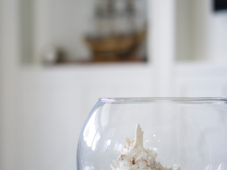 ocean in a bowl accessory