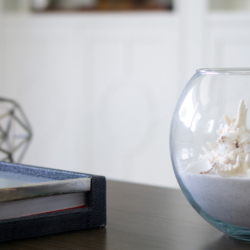 seashell in glass bowl interior design