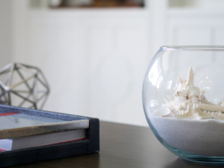 seashell in glass bowl interior design